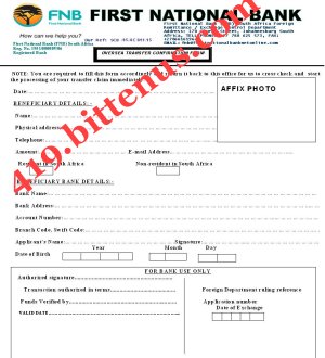 Fnb international payments
